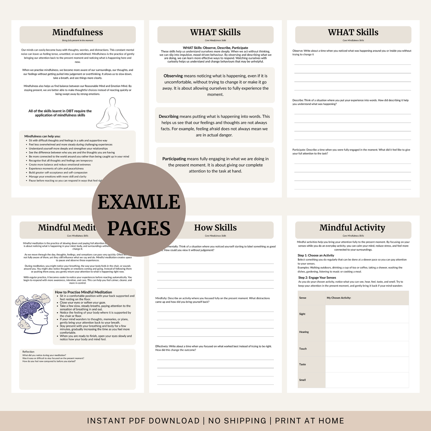 Mindfulness DBT Skills Toolkit