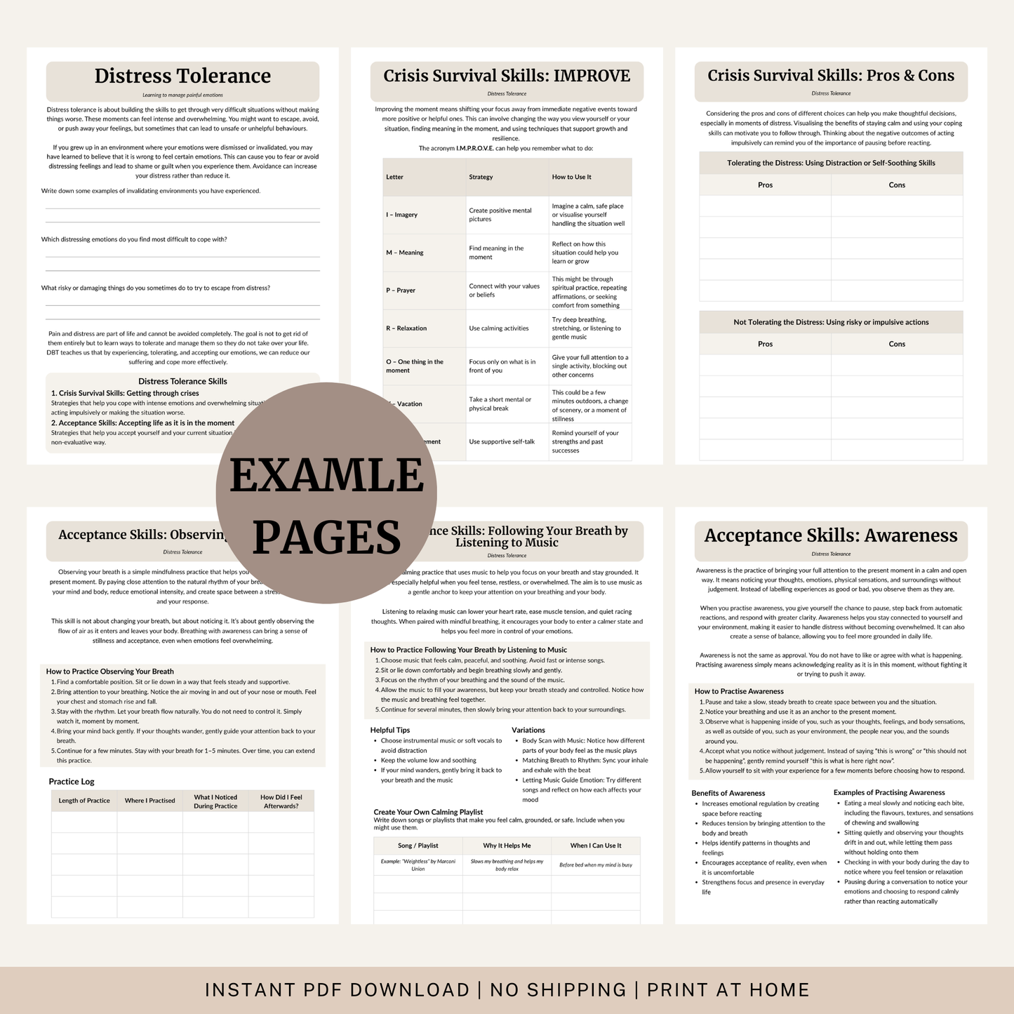 DBT Emotion Regulation Toolkit