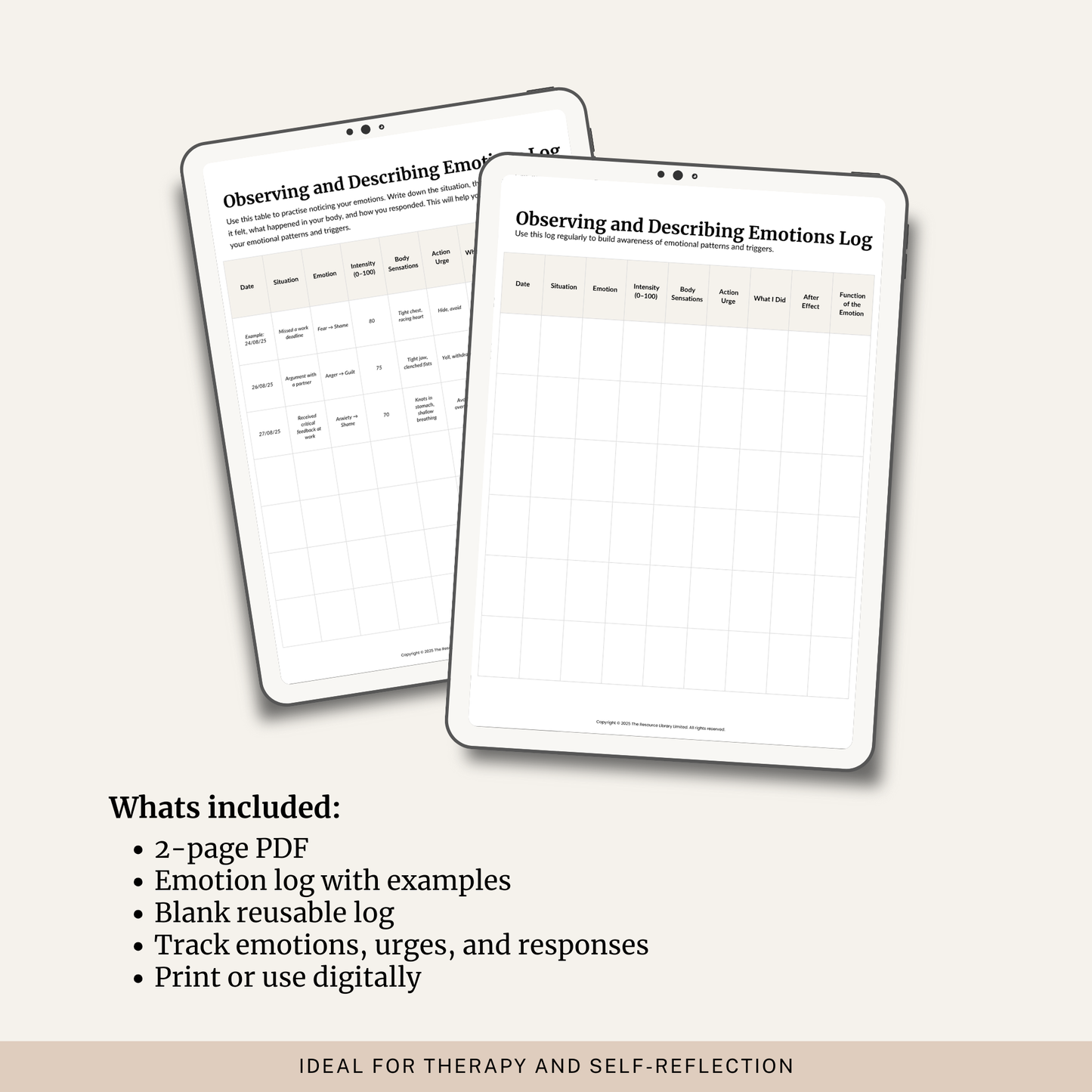 Observing and Describing Emotions Log