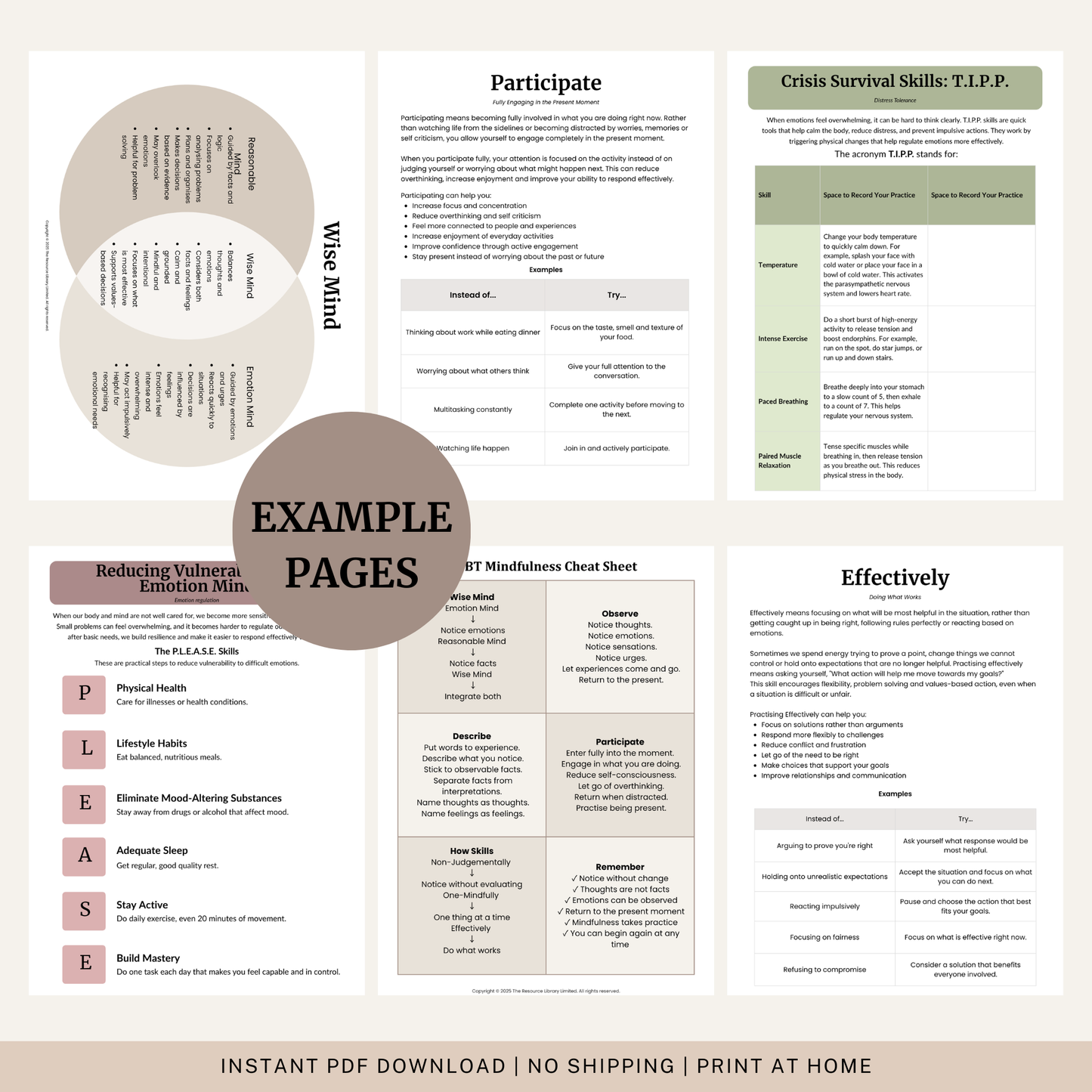 Complete DBT Bundle