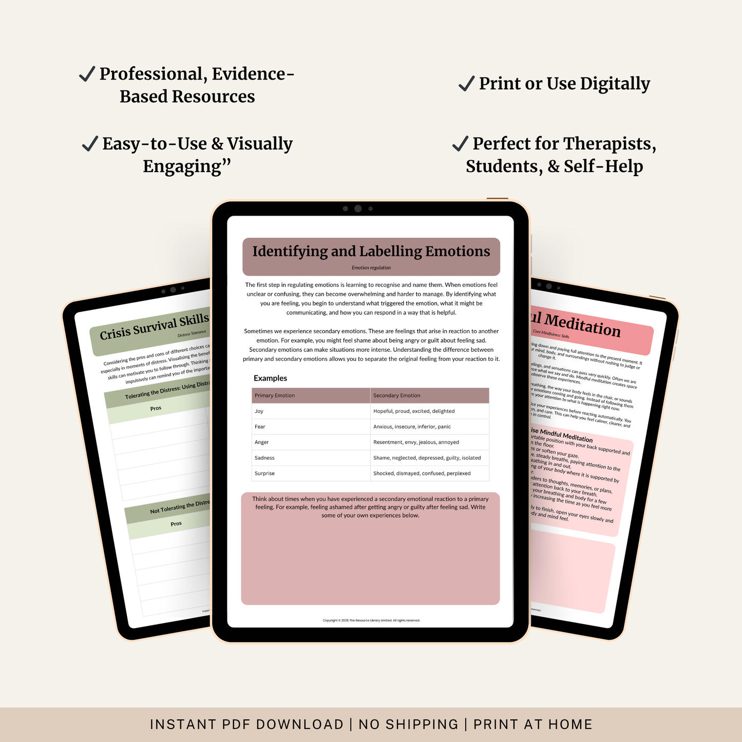 DBT Skills Workbook