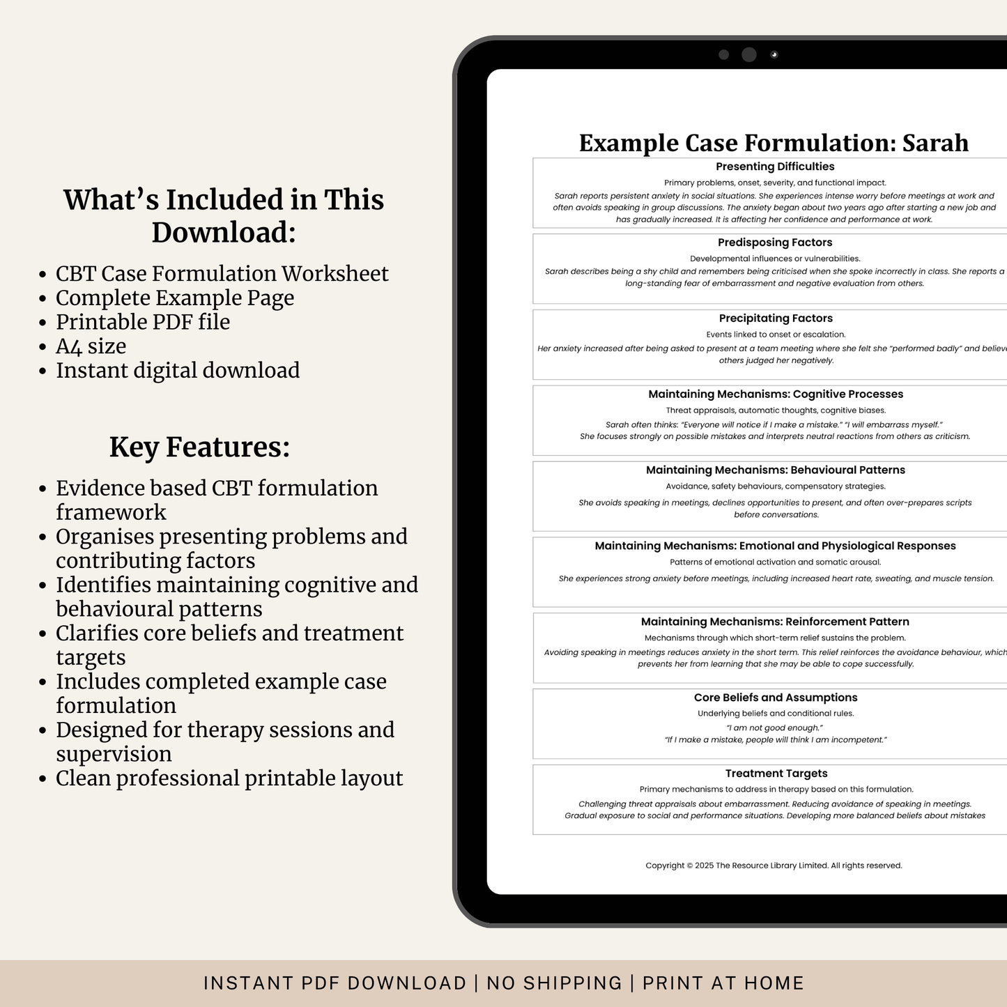 CBT Case Formulation Worksheet