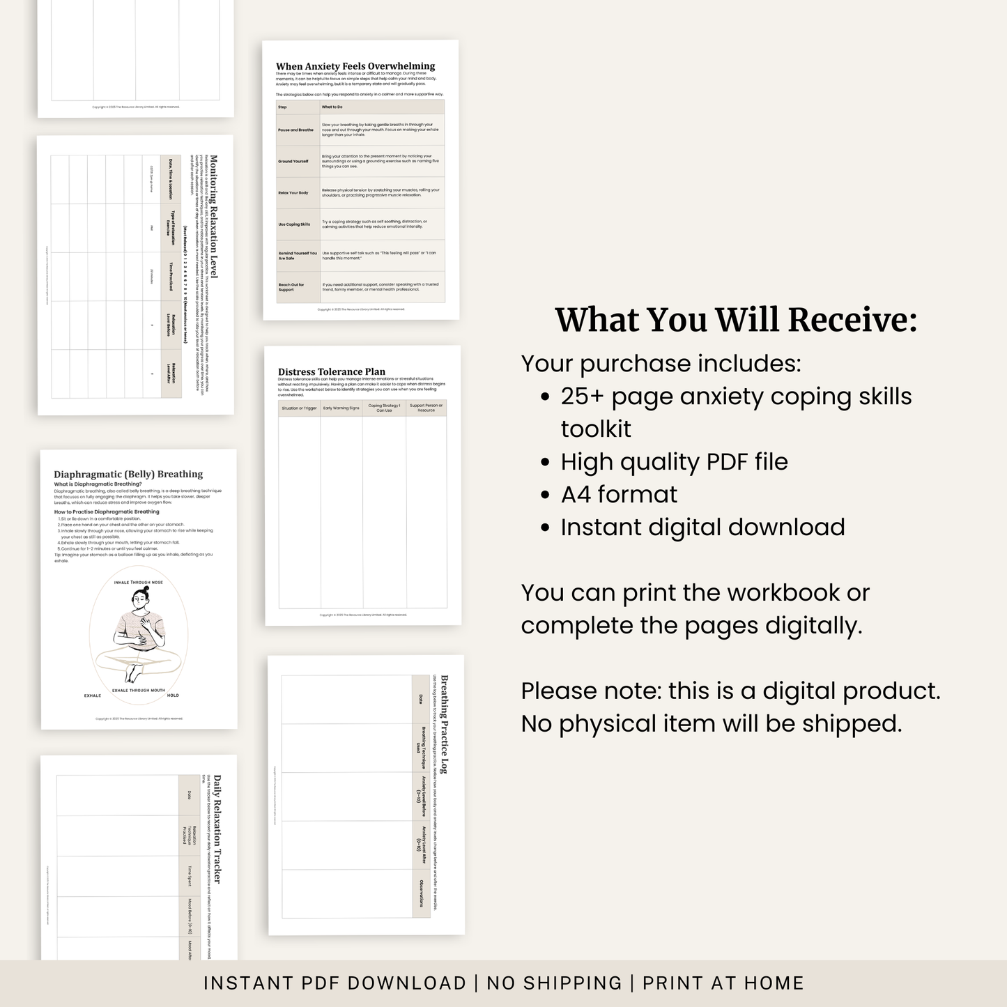 Anxiety Coping Skills Toolkit